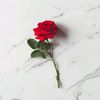 user3619907782812madu