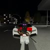 pantera_597