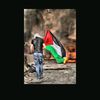 fadhel.omrani6