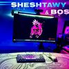 sheshtawy_100k