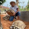 Abah Sulcata