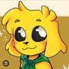 fabiobdw8qx