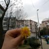 hatice.br