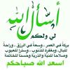 user1631861848142