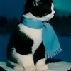 eli.filho4