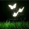 user2968631470063