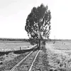 qahtan1366