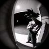 degan_337