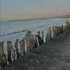 vicpriv_adx