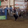 leebullrider4