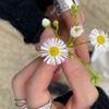 park_vic13