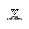 Magic Carnation