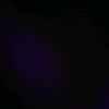 youcef.belmokhtar6