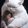 hadil.bhmd