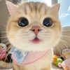 yuebaby14