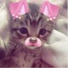 editzz7395