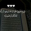user269231955