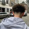 flavi0_vlp8