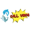 call voice