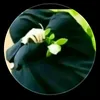 user1935980780032