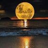 amandahayslett287