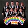 armonia.91