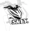 Skyy