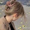 ami._1165