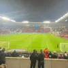 safc_matty2024
