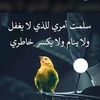 user44958605750983