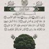 user8829871717109