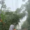 dekpaaa00