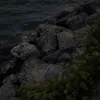 kprisun_94