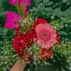 roja.moni0573