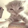 itsmedouh0