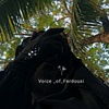 voice_of_ferdousi