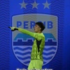 bobotohpersib185