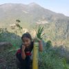 noumi_12