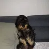 0vikca0