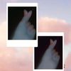 its.muskan92