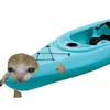 polish.kayak_