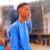 hmdlhybark81