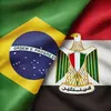 egpcia.brasileira