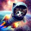 rocket.kitten5