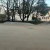 selma_qw12