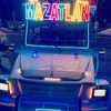 pulmonia.mzt