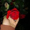 m_zehra_a