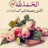 user8424813815143
