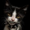 vampire_girl1708