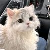 user1111hhhaasjsu